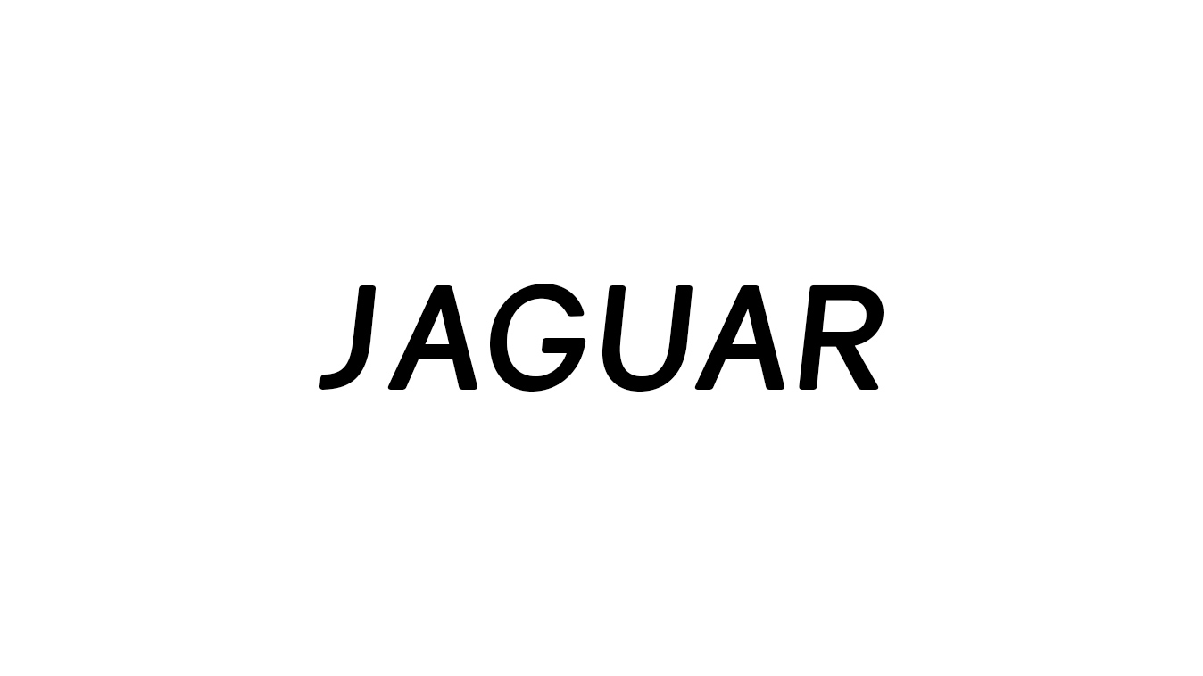 for Jaguar
