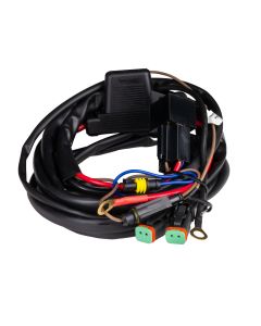 Connect cable harness 2 x 2 pin DT (320W)